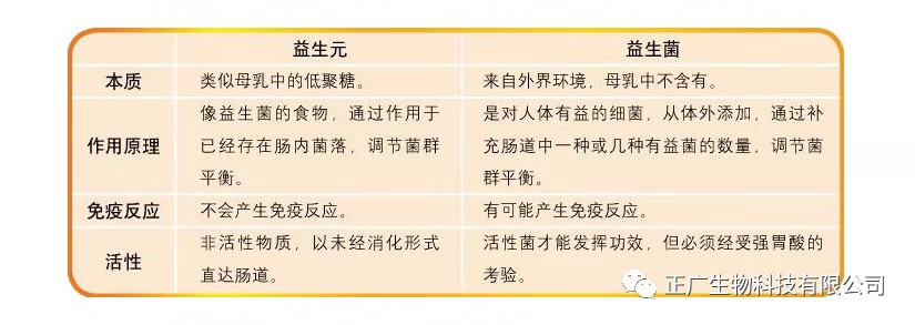 益生菌與益生元的區別.jpg