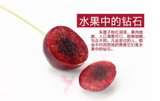 【正廣生物】廣州針葉櫻桃壓片糖果代加工廠家問：車厘子自由你實現了嗎？