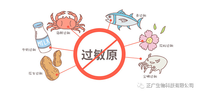 過敏食物分類圖--更多關注健康咨詢請直接查找微信正廣生物，更多驚喜等你哦！功能食品壓片糖果代加工