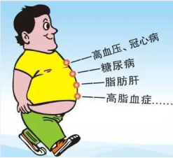 體重管理代加工廠家研究：中國式肥胖越來越多