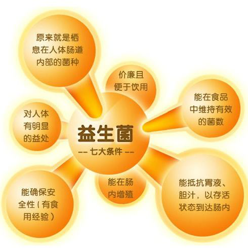 動物雙歧桿菌-益生菌粉固體飲料代加工廠家