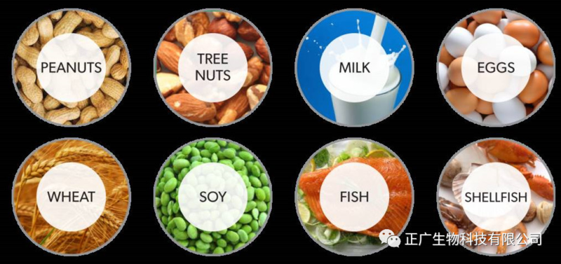 過敏食物分類圖--更多關注健康咨詢請直接查找微信正廣生物，更多驚喜等你哦！功能食品壓片糖果代加工