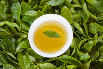 百因必有果-綠茶多酚固體飲料代加工廠家正廣生物